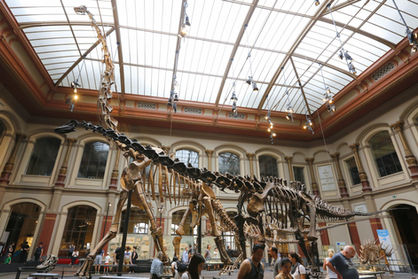 Seeing a Brachiosaurus in real life was one of the most moving moments of my life.