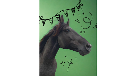 Let Us Host Your Birthday! 