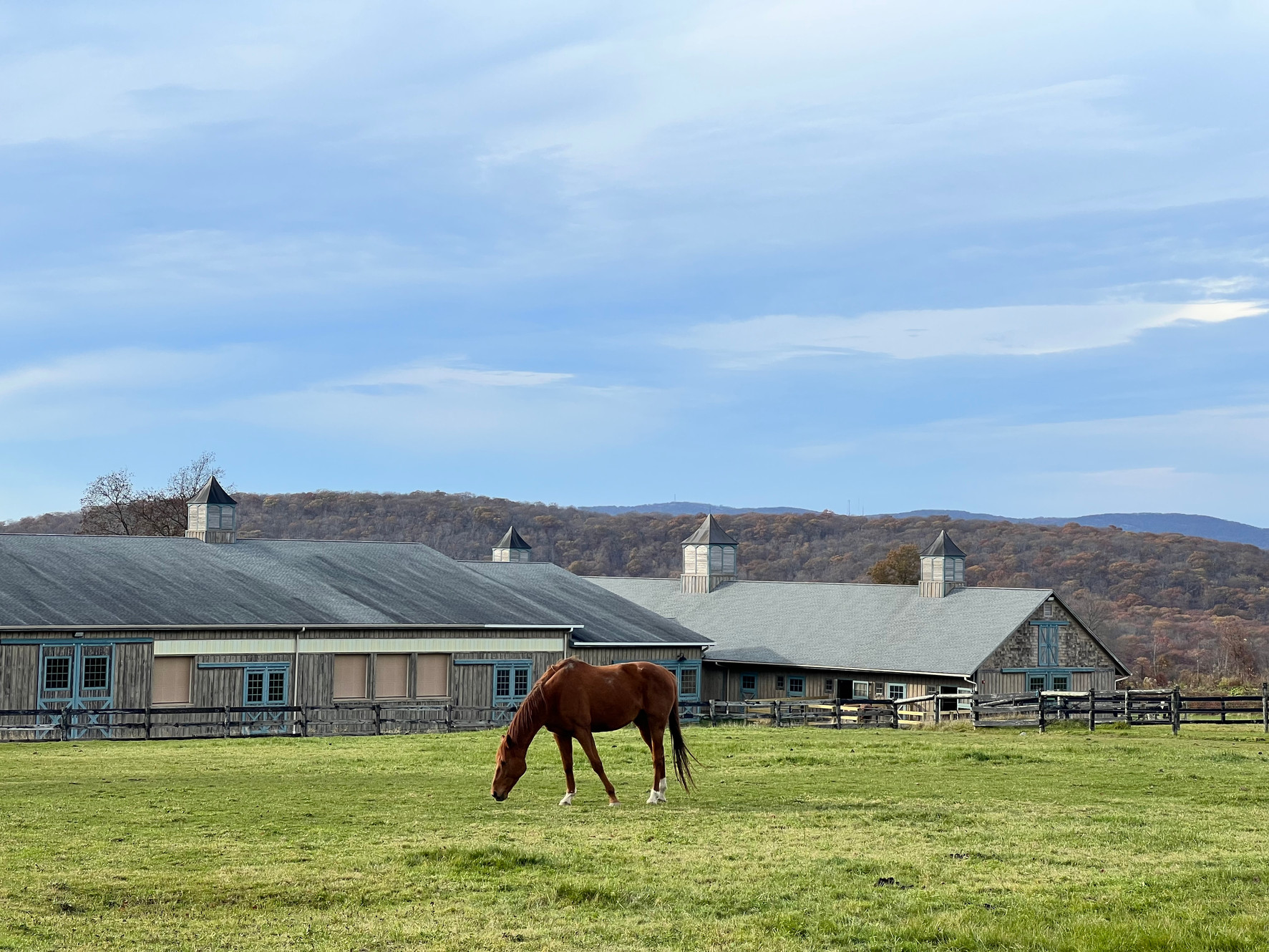 Therapeutic Equestrian Center Inc logo