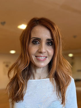 Dimi Favorit 4zu3.jpeg