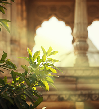 Ancient Architecture