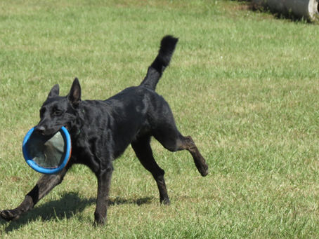 Don't Be the Limiting Factor