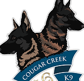 29542715_1497994106976092_79876746817241