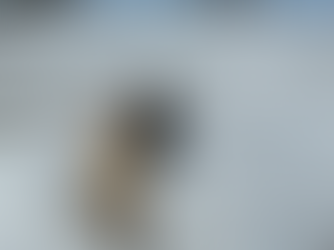 On our way to the Back 40....