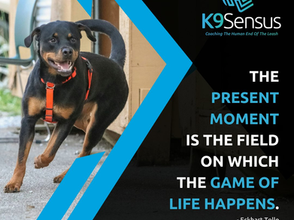 Thoughtful Thursday: Being Present in the Moment