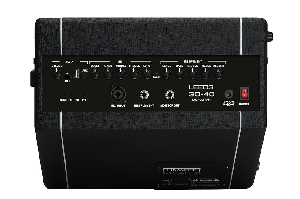 Thumbnail: Hiwatt LEEDS GO40 Combo - 40W 2-Channel Mobile Guitar & Vocal Amplifier