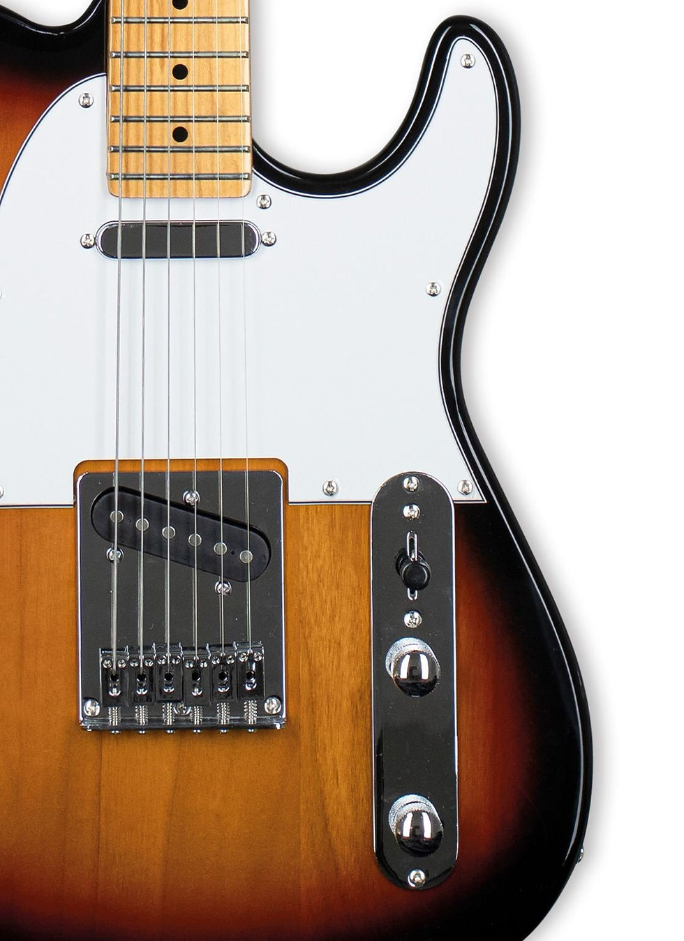 섬네일: Tagima TW 55