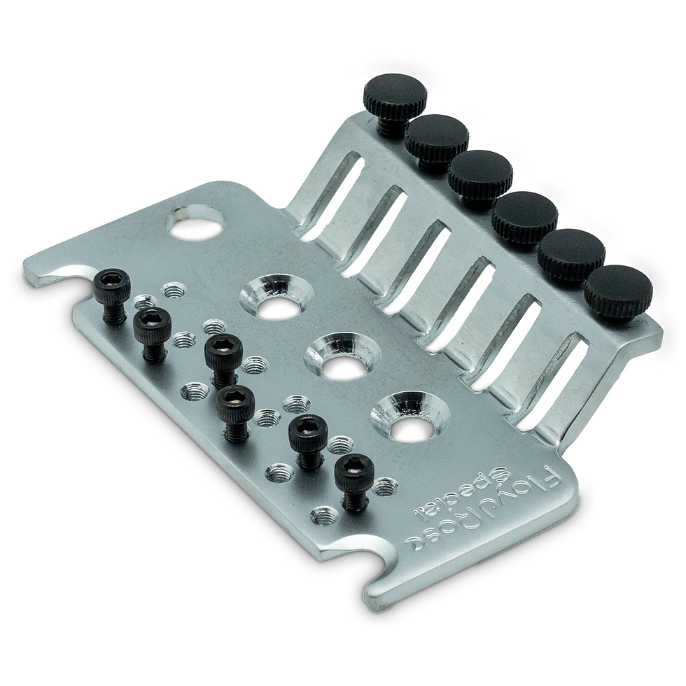 Thumbnail: Floyd Rose Special Series Tremolo Base Plate