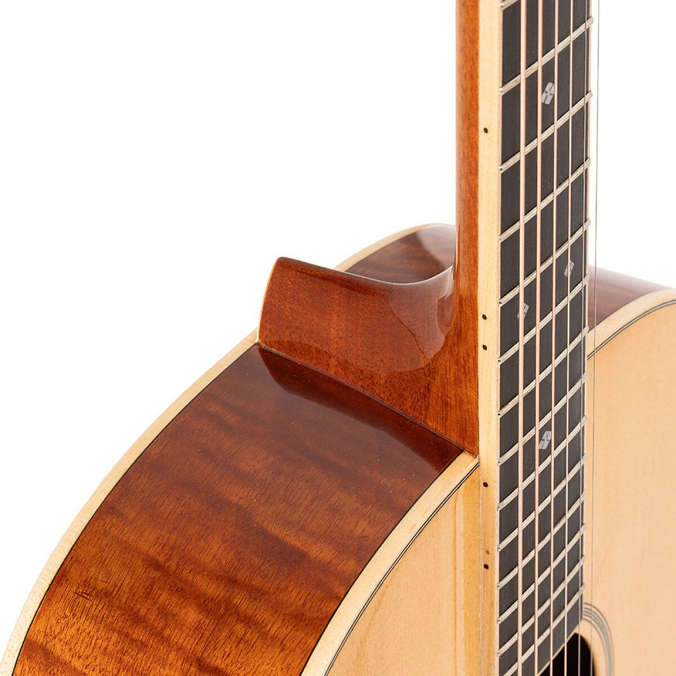 サムネイル： STAGG SA45 O-FM ORCHESTRA AC GT SPRUCE.FLAMED MAHO