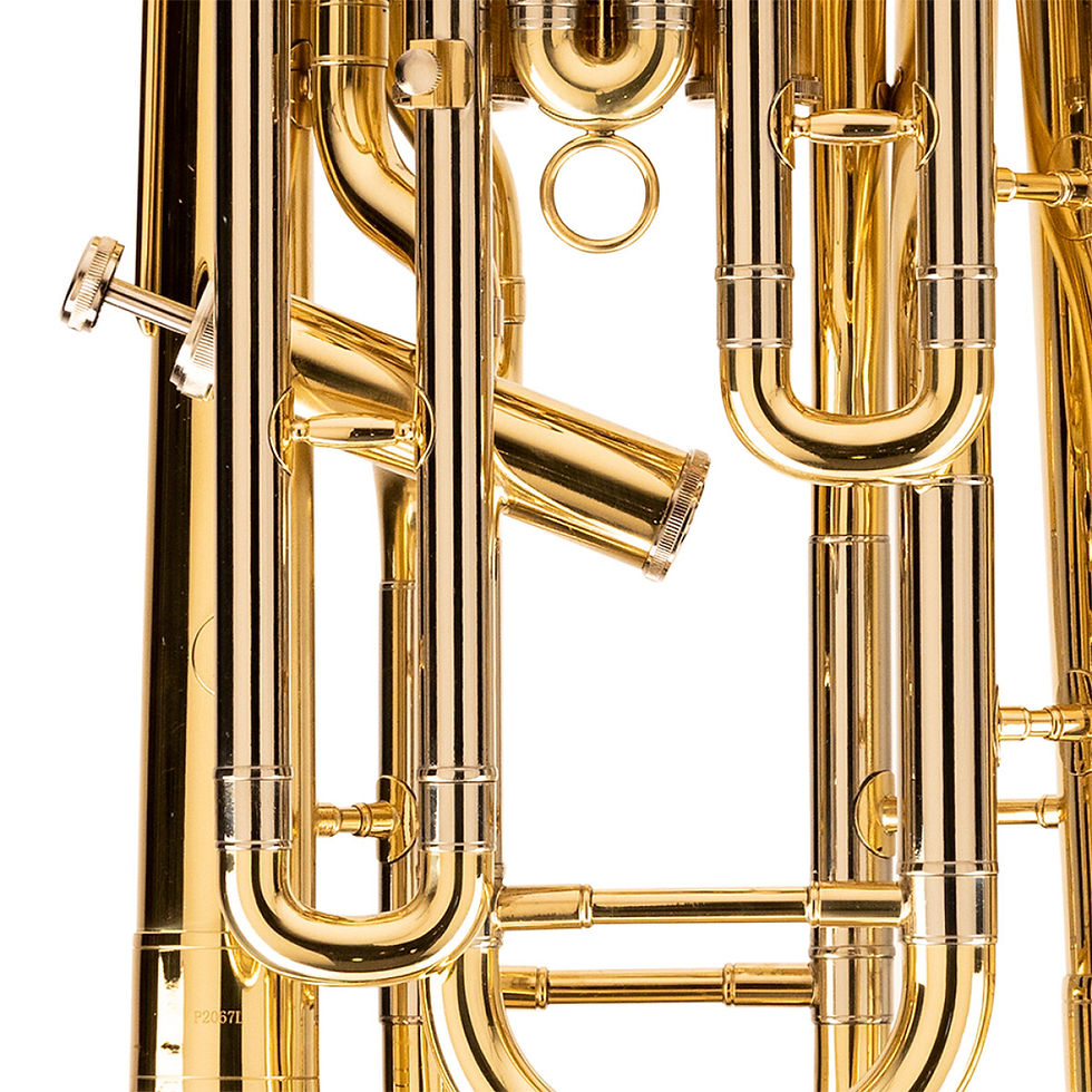 תמונה ממוזערת: LEVANTE EUPHONIUM, 3+1PISTONS LV-EP5415
