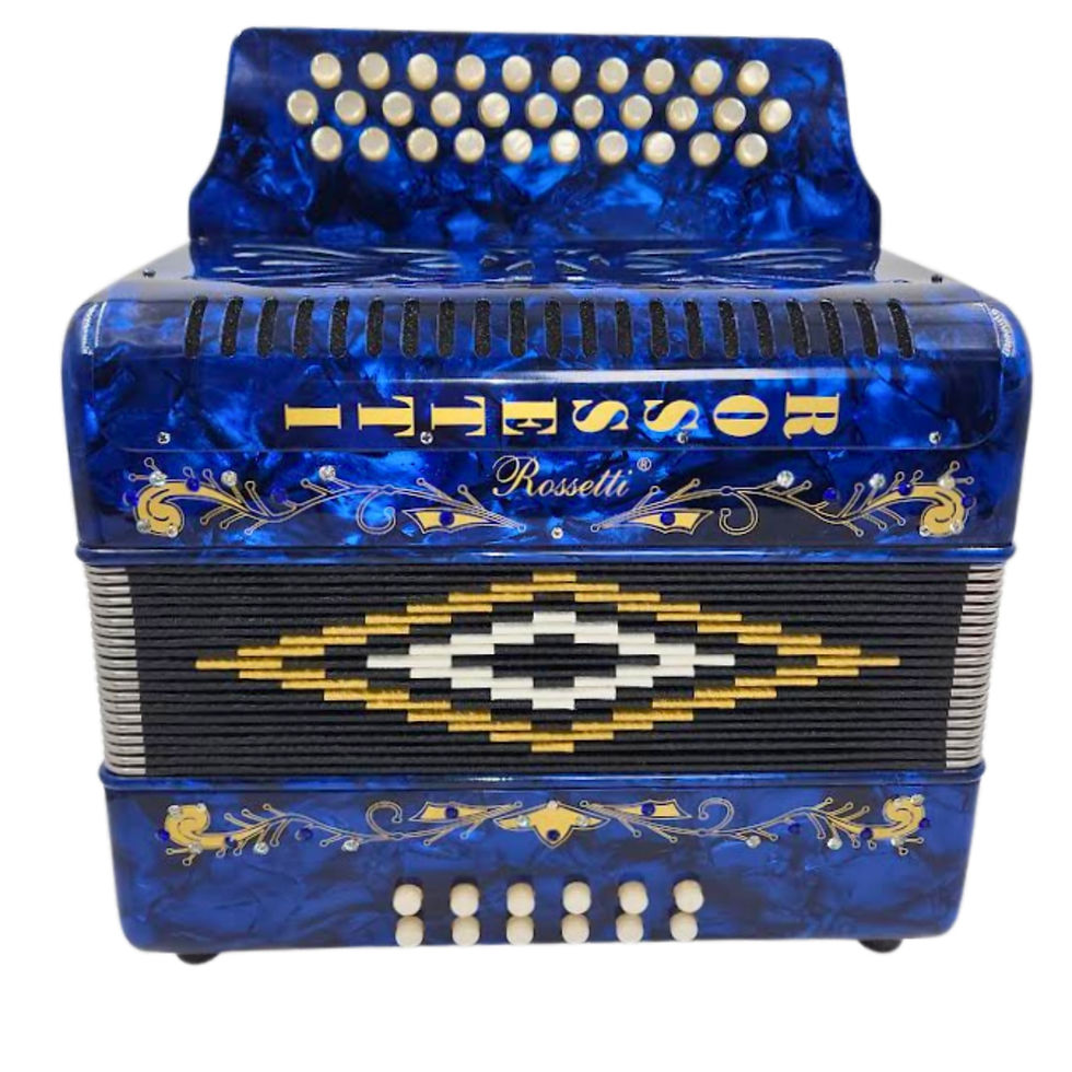 תמונה ממוזערת: Rossetti 3112 Blue Button Accordion with Italian Style Decoration, Premium Case