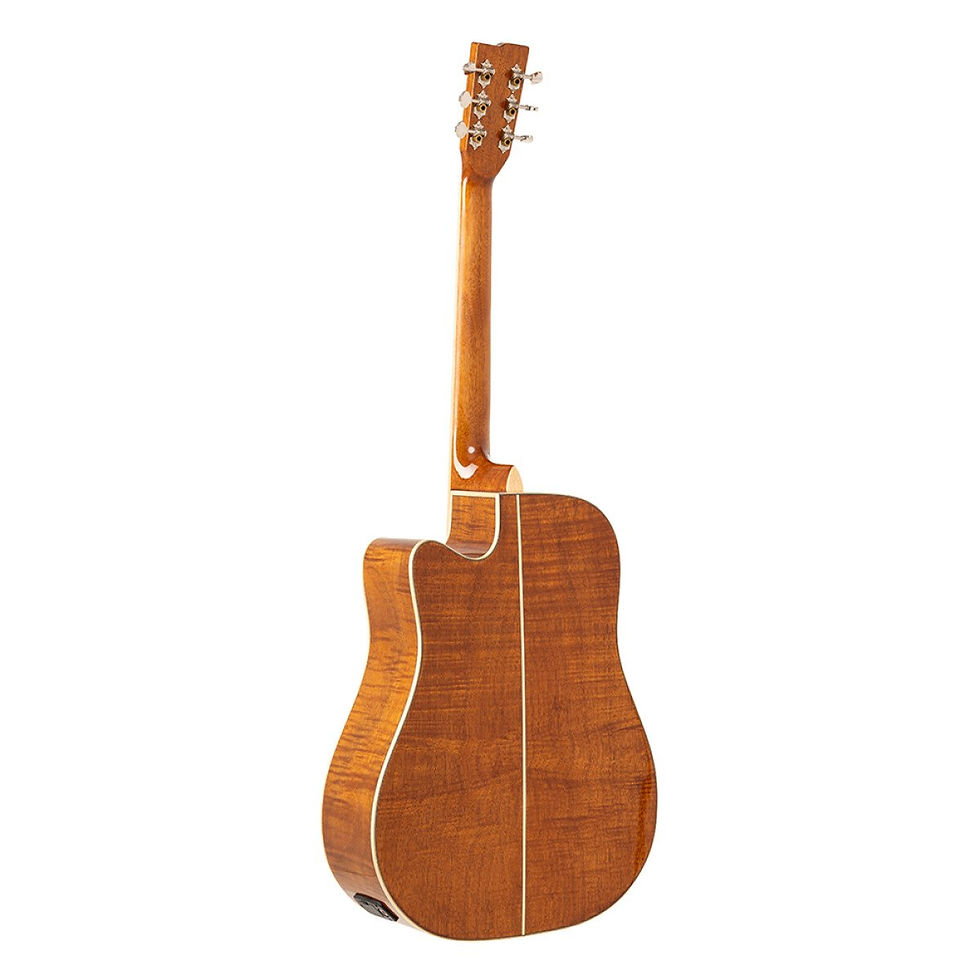 Миниатюра: STAGG SA45 DCE-FM DREAD EL AC CW SPRUCE FLAMED MAHO