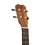 Miniaturbild: Islander SAT-4 Tenor Ukulele with Solid Acacia Wood Construction