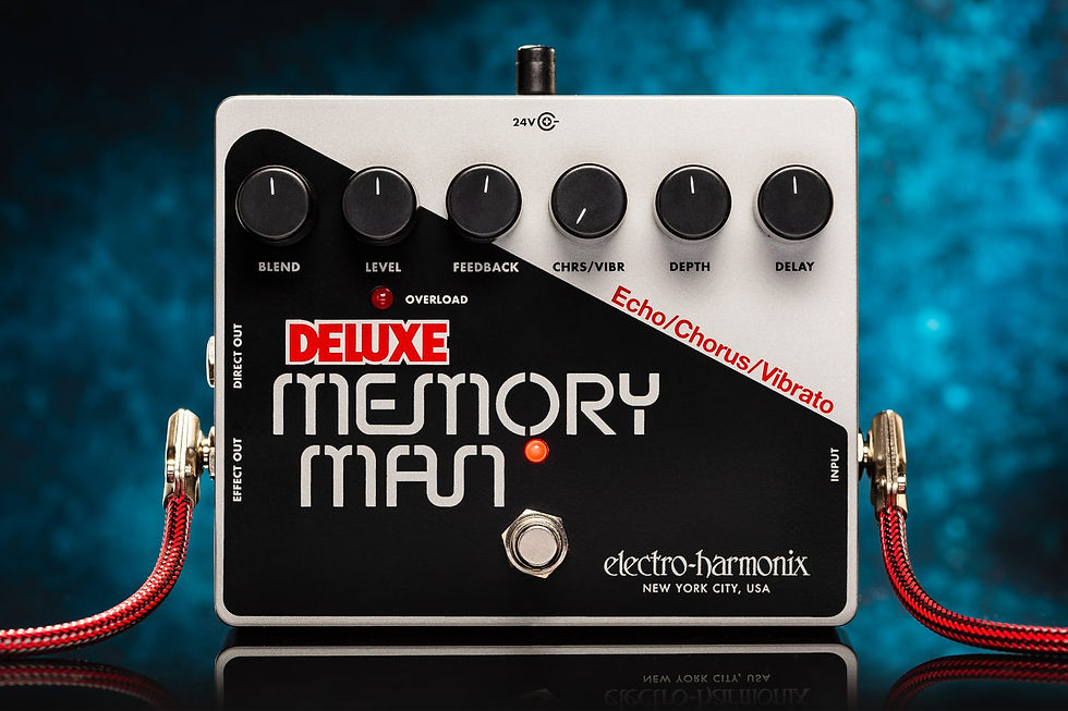 섬네일: Electro-Harmonix Deluxe Memory Man Analog Delay Pedal with Lush Chorus Vibrato