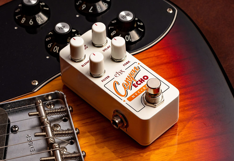 섬네일: Electro-Harmonix Pico Canyon Echo Digital Delay: Tap Tempo, Filter FX