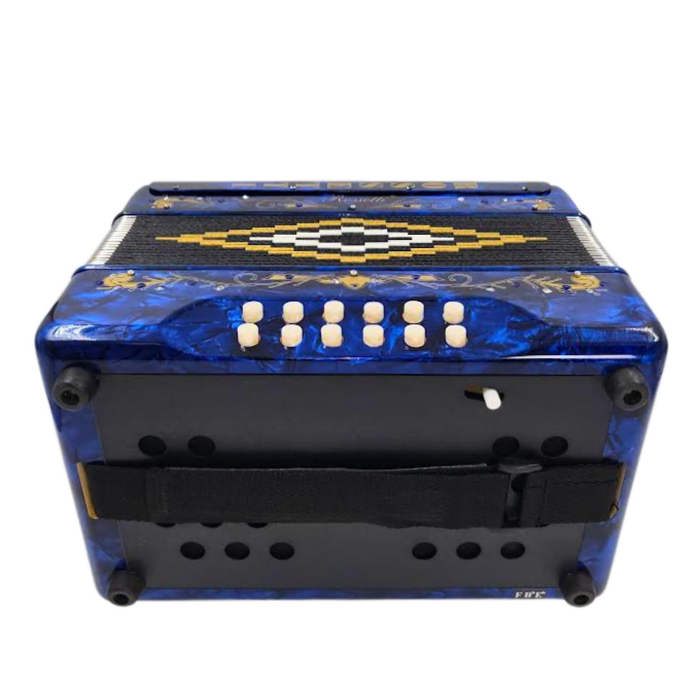תמונה ממוזערת: Rossetti 3112 Blue Button Accordion with Italian Style Decoration, Premium Case