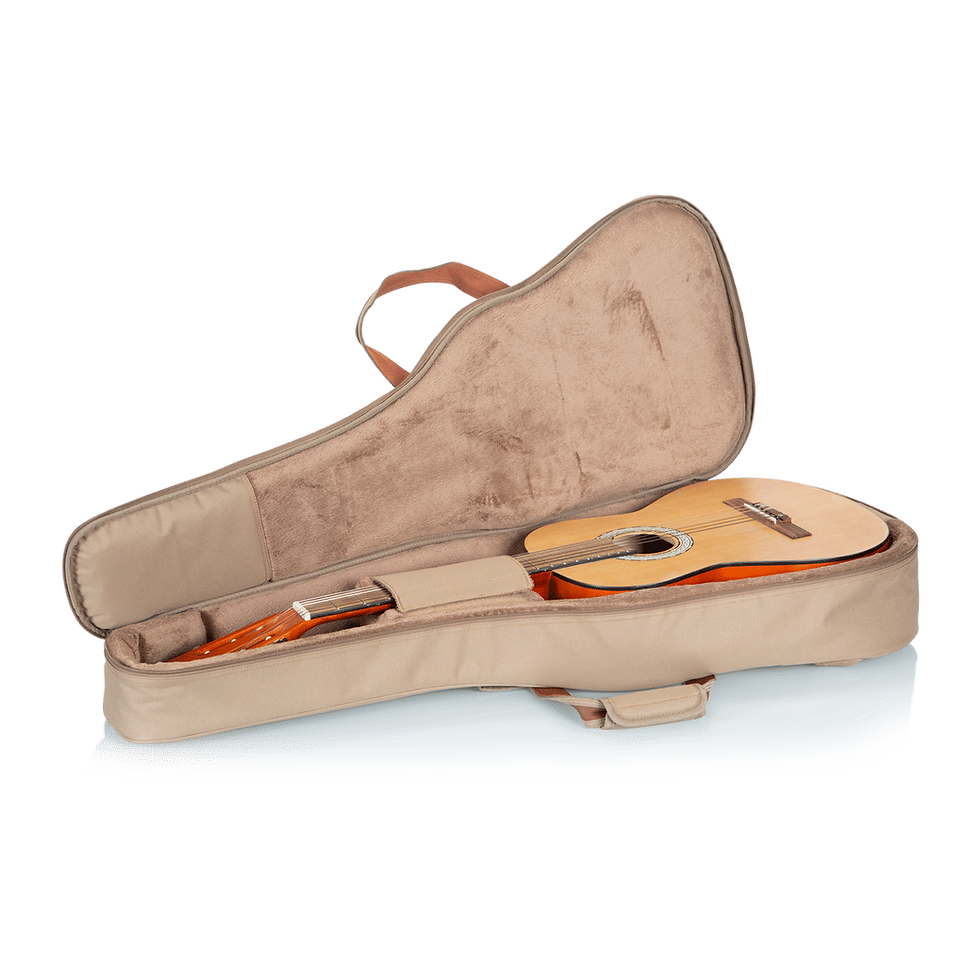 Миниатюра: Levy 200 Series Polyester Foam Padded Gig Bag For Instruments