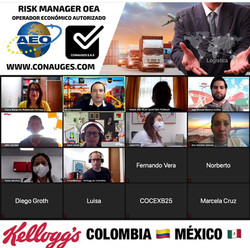 RISK MANAGER OEA
