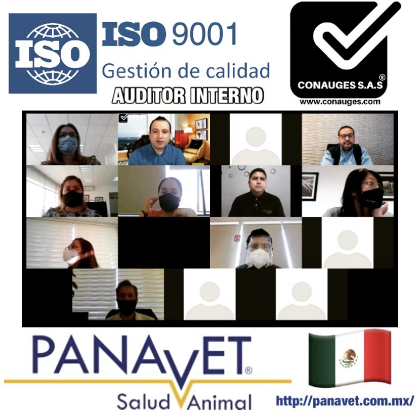 AUDITOR INTERNO ISO 9001