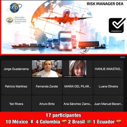 RISK MANAGER OEA