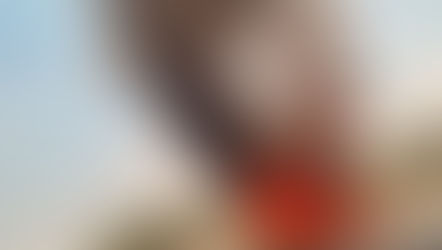 Video: Helicóptero se estrelló en el estado de Nuevo León en México