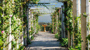 How to Design a Balanced Outdoor Space