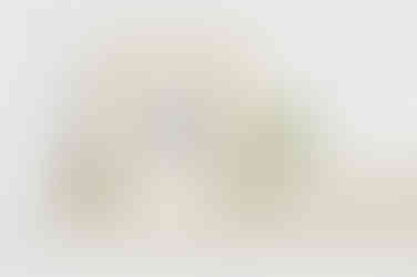 Boho White Wash Picture Shelf