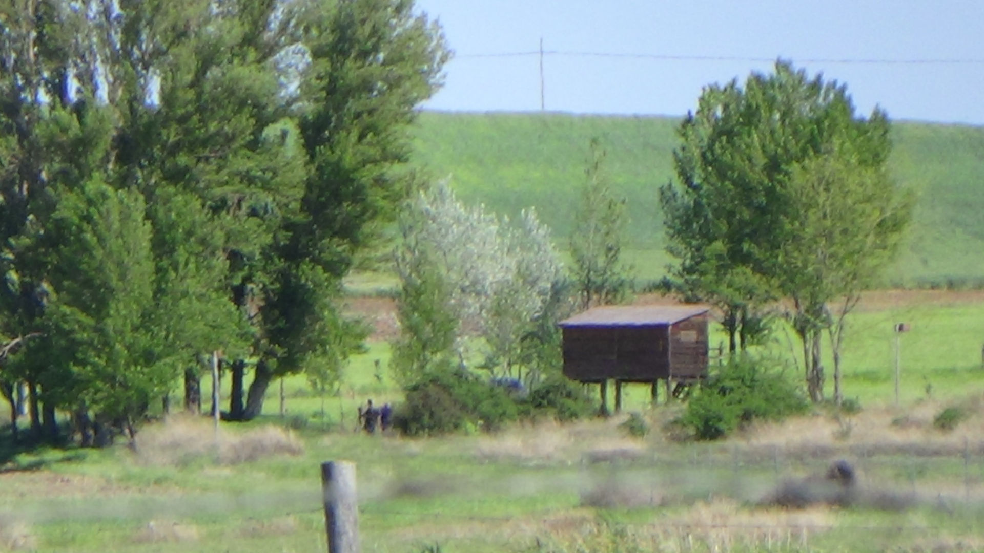 DSC04123