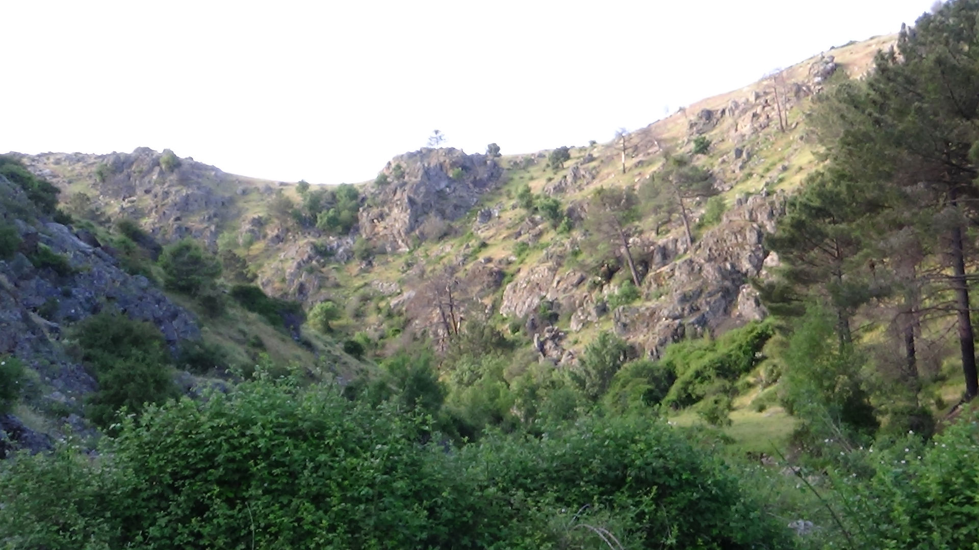 DSC04845