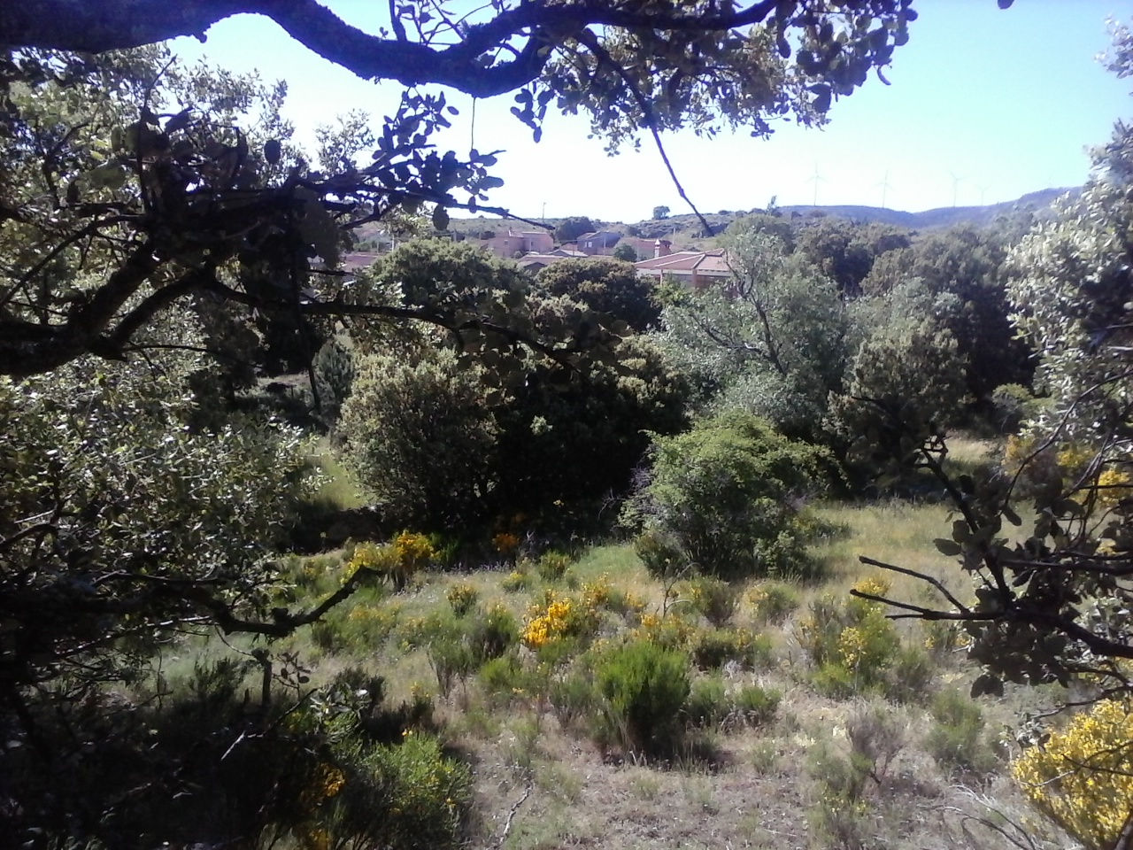 Vista de Oco