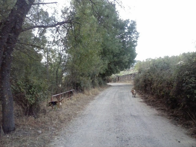 cabezuelas 10
