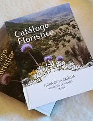 FLORA2.jpg