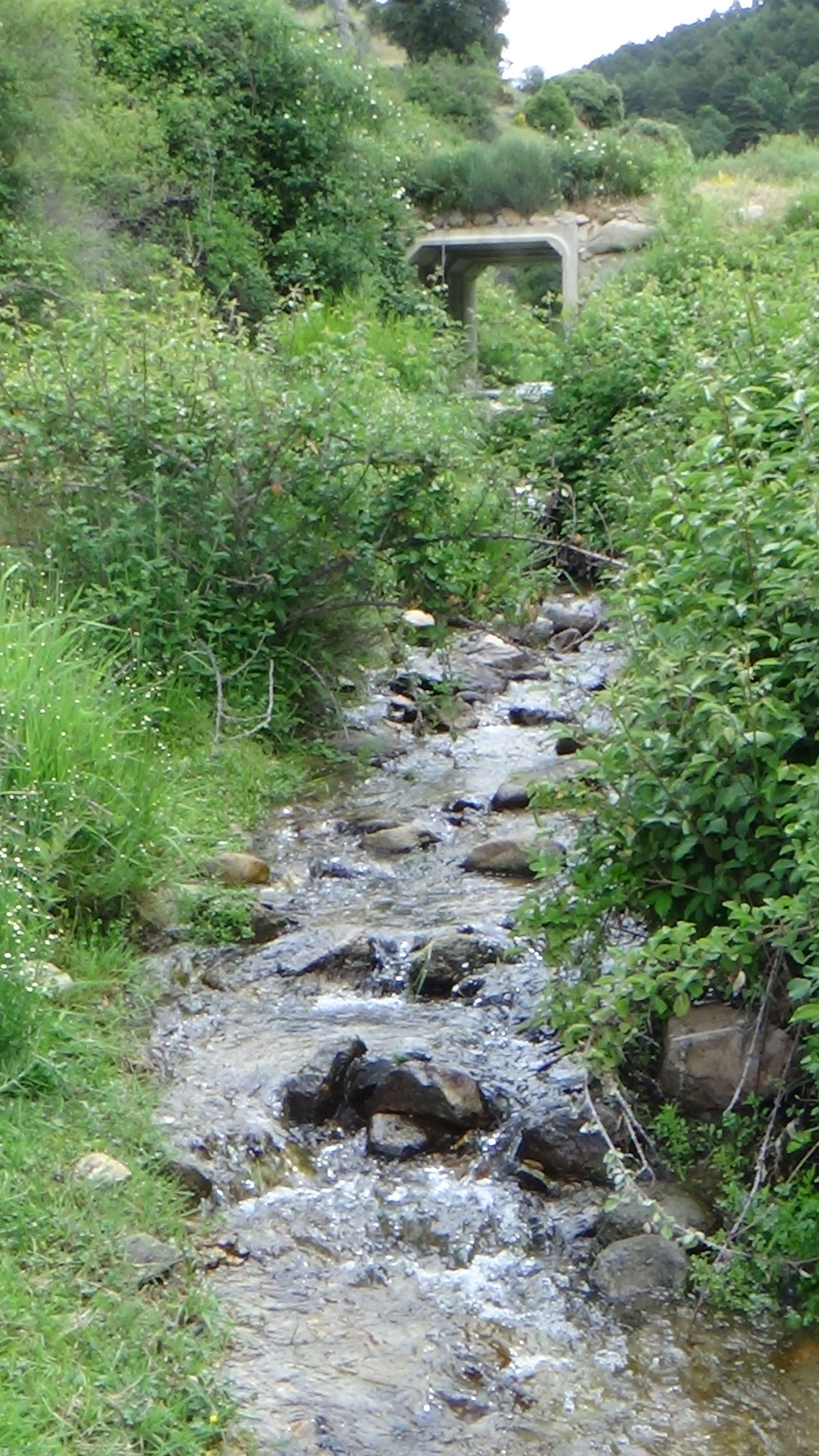 DSC05188