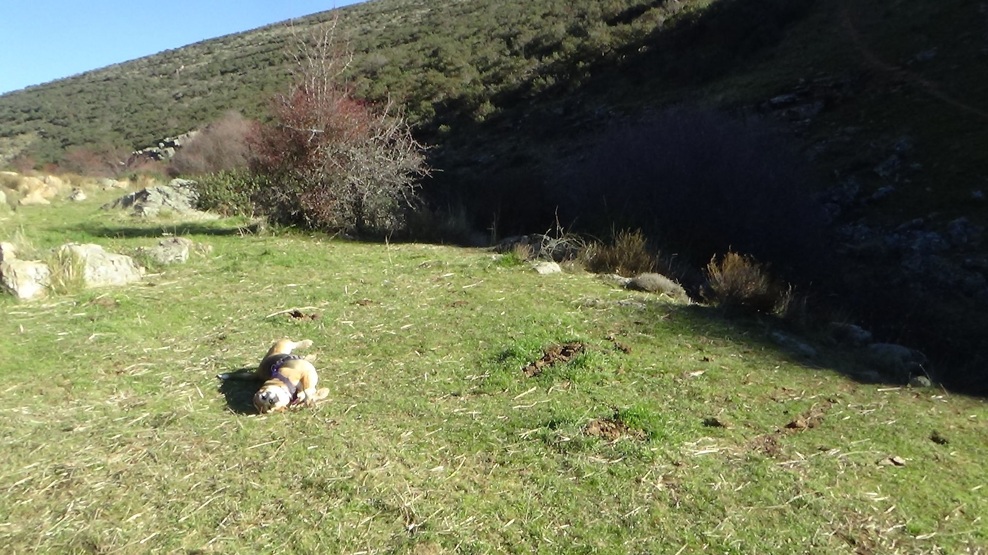 de regreso1