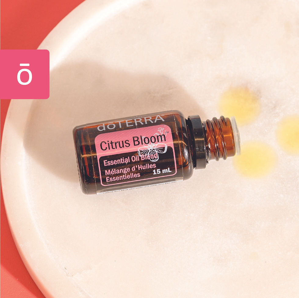 Miniatura: Citrus Bloom