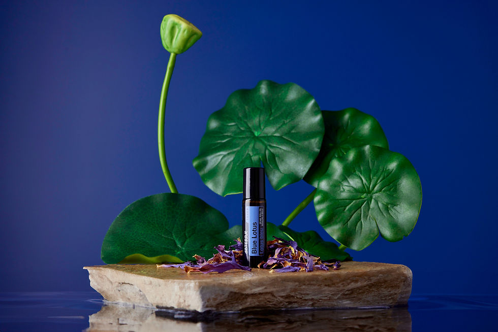 Miniatura: Blue Lotus Touch -  Lotus Azul