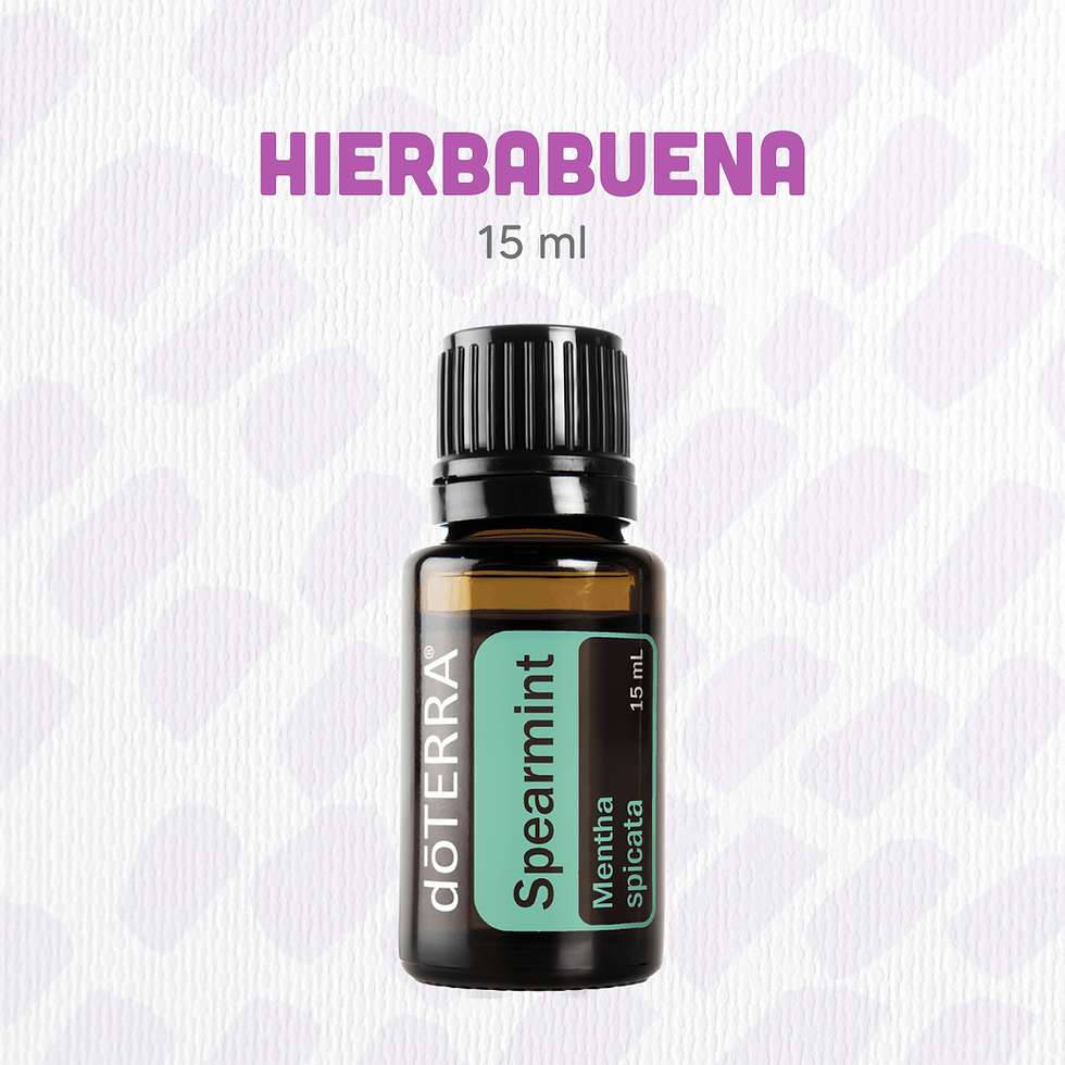 Miniatura: Hierbabuena 15ml