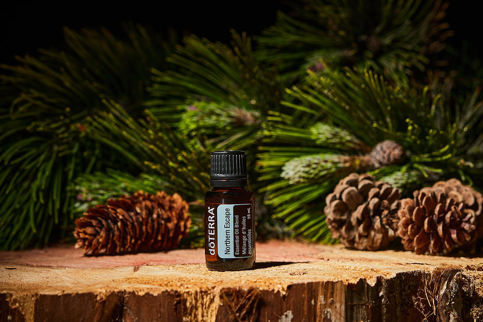 Thumbnail: Northern Escape 5ml