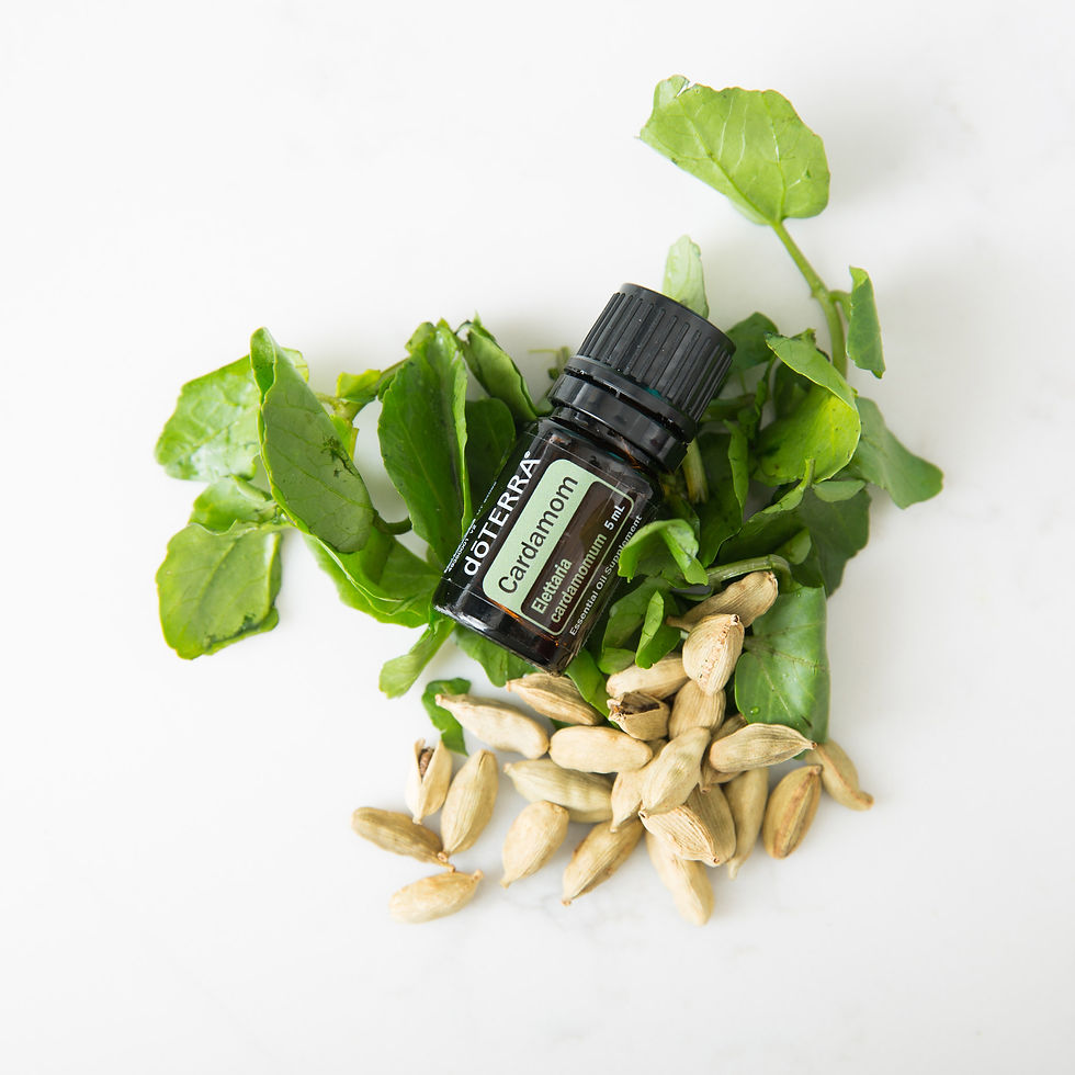 Miniatura: Cardamomo (5ml)