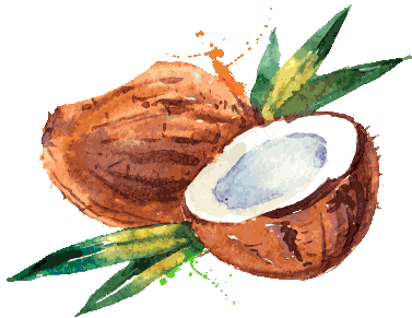 coconut.gif