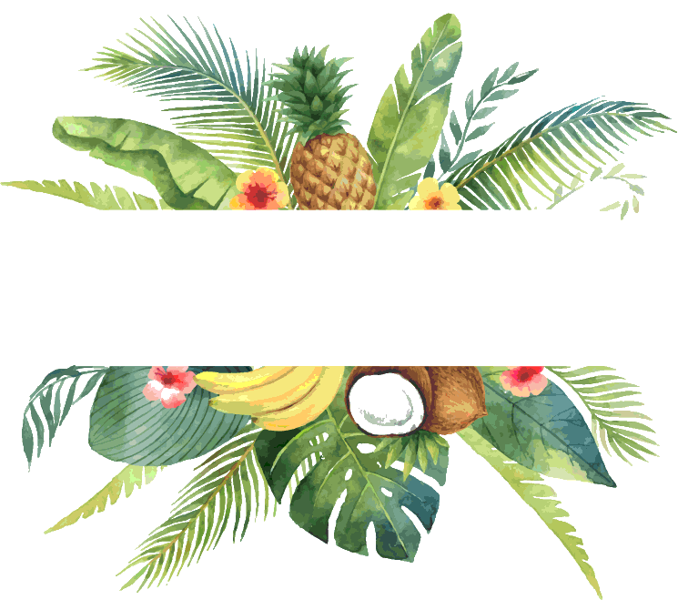 Tropical frame.gif
