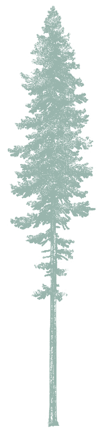 Portland Oregon Health Tree