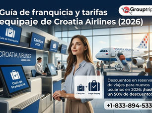 Franquicia de equipaje de Croatia Airlines