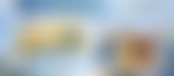 ¿Flybondi ofrece descuentos para reservas de viajes en grupo?