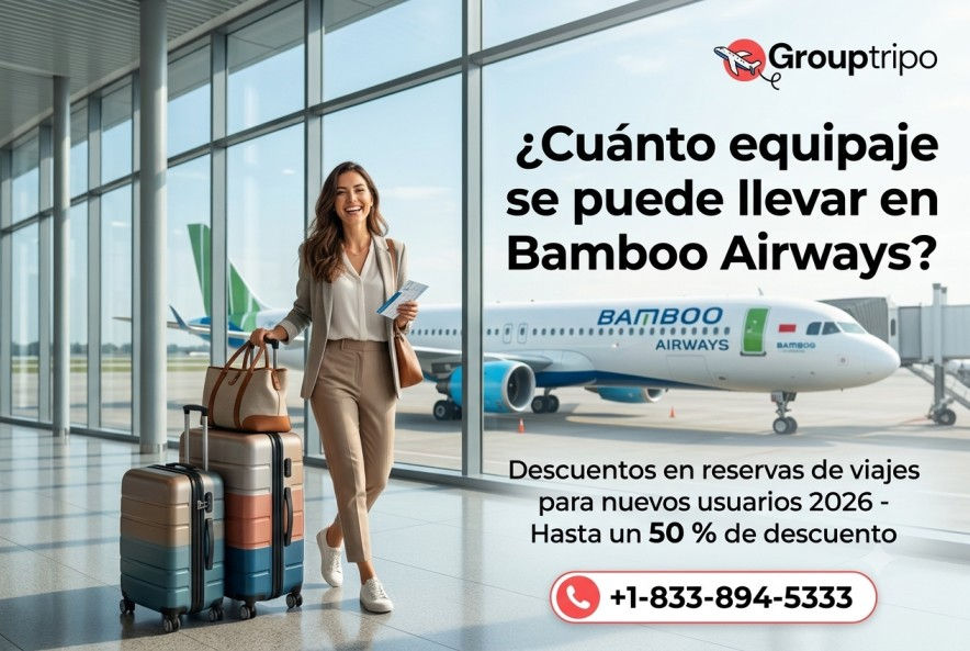 Franquicia de equipaje de Bamboo Airways