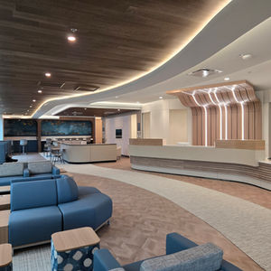 Townsen Memorial Hospital (Micro Hospital)