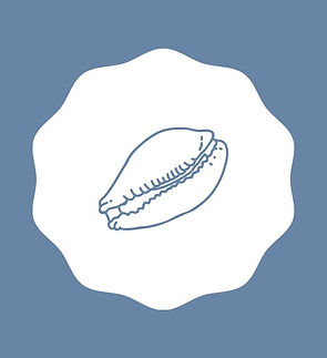 WhatsApp Image 2025-05-23 at 09.47.16 (1).jpeg