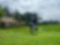 IMG_2240.JPEG