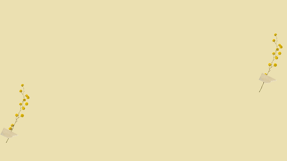 Sea, salt, and sky (3).png