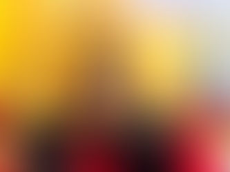 Japan-US Military Friendship Party